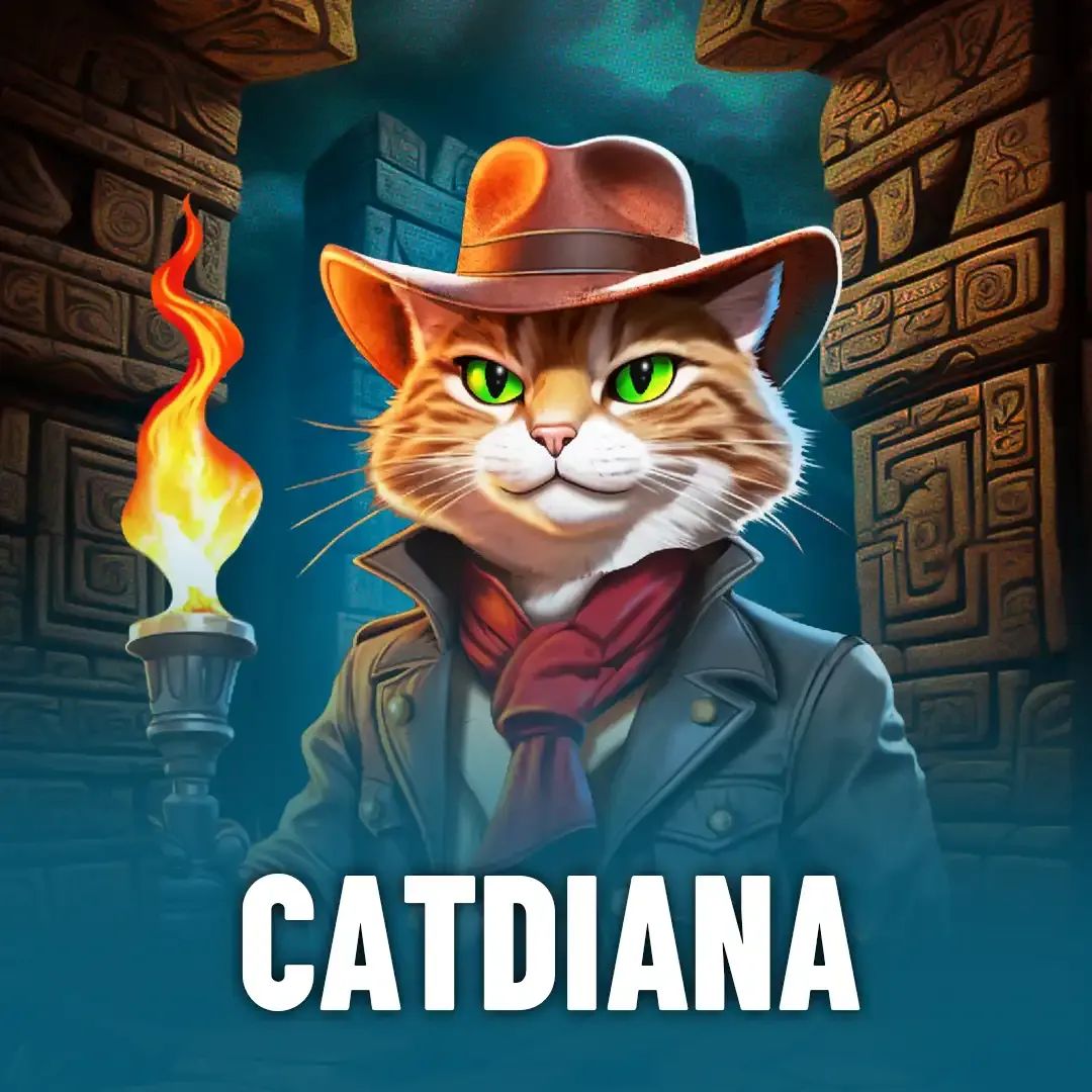 23bet com