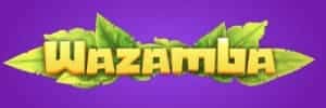 6z game